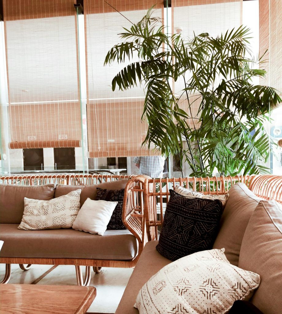 Pillows on Sofas in Living Room